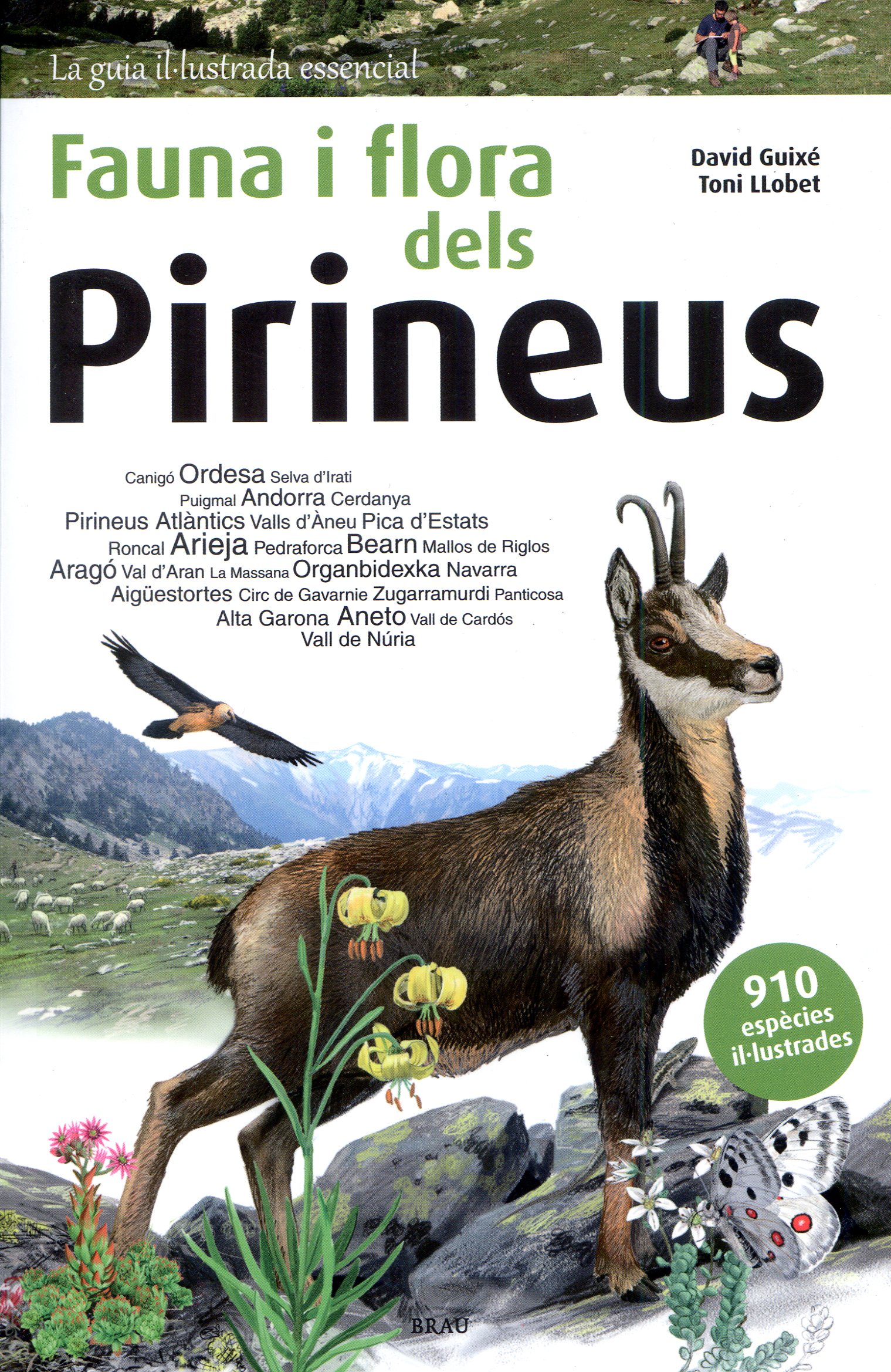 Fauna i flora dels Pirineus - Portada